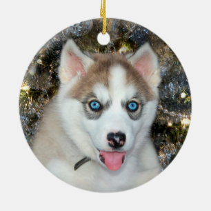 Adorno De Cerámica Navidades Husky Siberiano de ojos azules