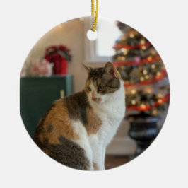 Adorno De Cerámica Navidades Kitty Ornament