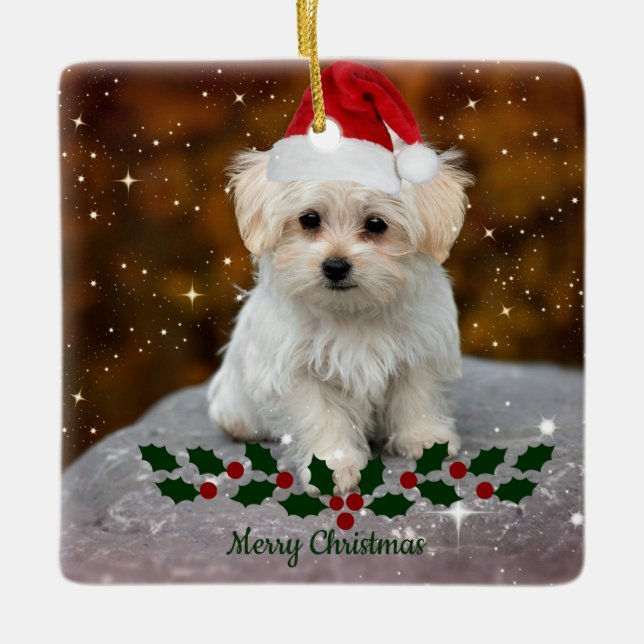 Adorno De Cerámica Navidades malteses de Cachorros (Anverso)