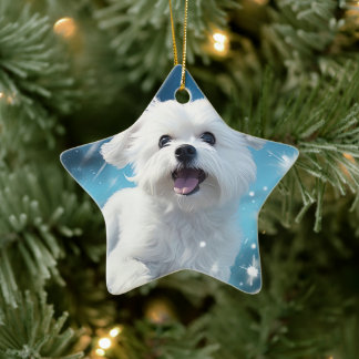 Adorno De Cerámica Navidades malteses únicos, regalo para los amantes