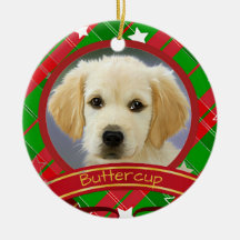 Navidades Mascota Foto Perro Verde Rojo Personaliz