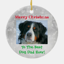 Navidades mejor perro papá Mascota foto