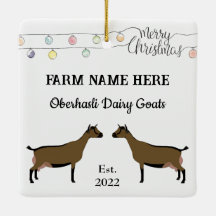 Navidades Oberhasli Dairy Goat White