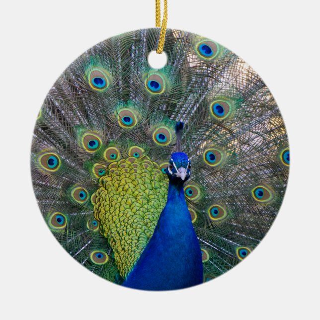 Adorno De Cerámica Navidades Peacock (Frente)