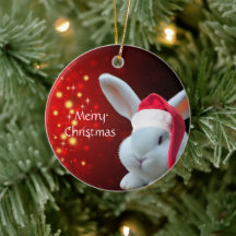 Navidades Santa Bunny