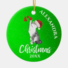 Adorno De Cerámica Navidades se burlan del gato de los niños verdes d