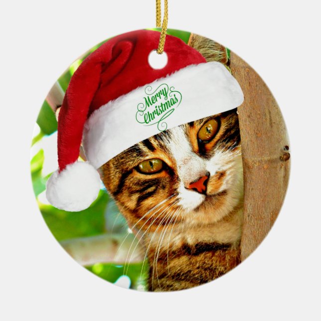 Adorno De Cerámica Navidades Tabby Cat en un árbol (Frente)