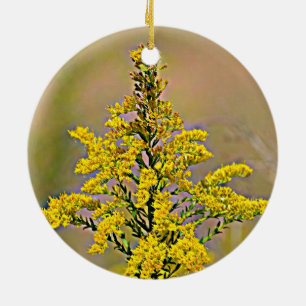 Adorno De Cerámica Nebraska Goldenrod