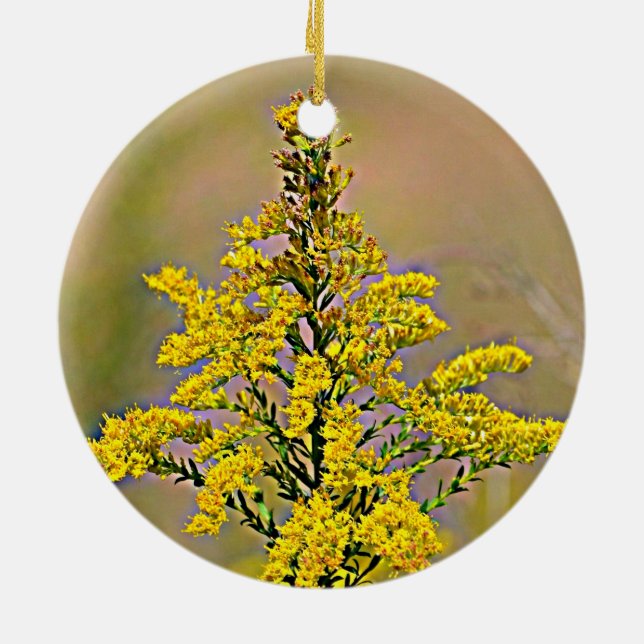 Adorno De Cerámica Nebraska Goldenrod (Atrás)
