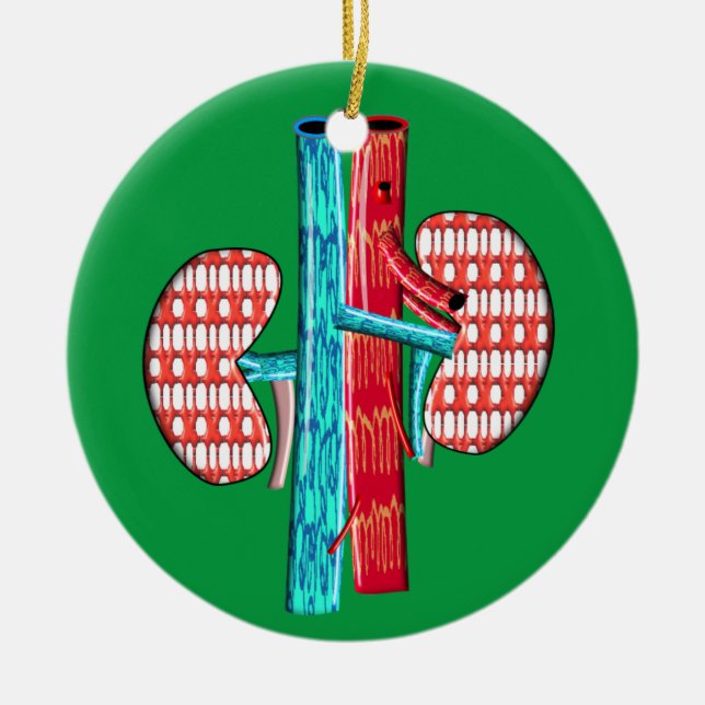 Adorno De Cerámica Nefrología Artsy Kidney Design (Frente)