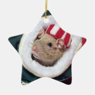 Adorno De Cerámica NEW!  Pet Rat Coco Ornament