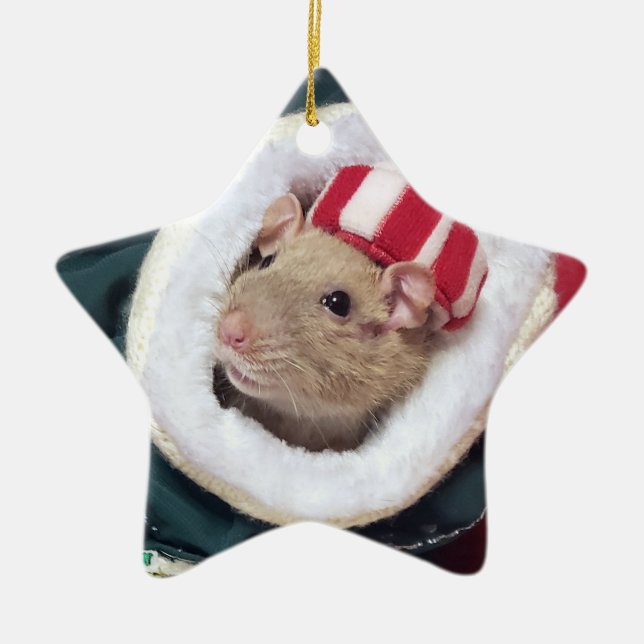 Adorno De Cerámica NEW!  Pet Rat Coco Ornament (Frente)
