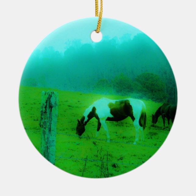 Adorno De Cerámica Niebla verde azulada Reto pintado pony Caballo (Frente)