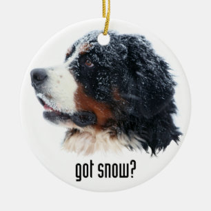 Adorno De Cerámica ¿nieve conseguida? Perro de montaña de Bernese