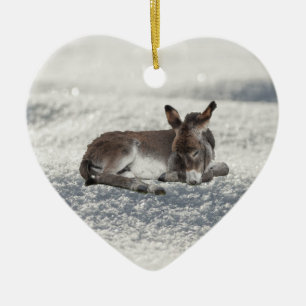 Adorno De Cerámica Nieve de bebé en burro