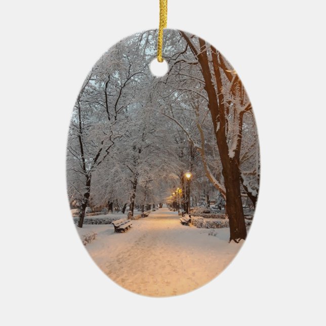 Adorno De Cerámica Nieve en el parque Sibiu (Frente)