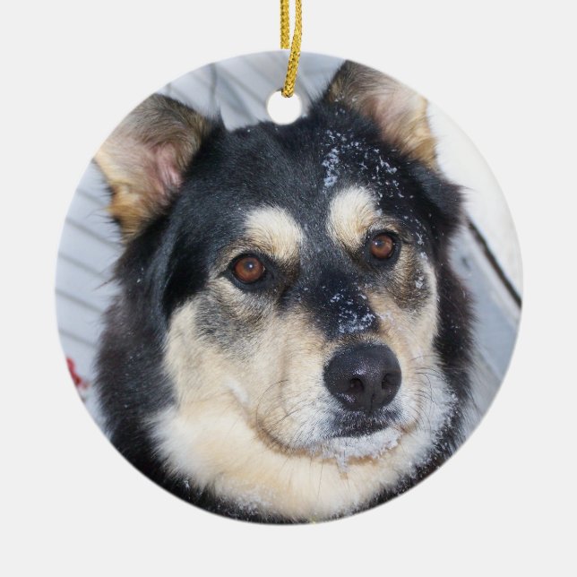 Adorno De Cerámica NIEVE Y NAVIDADES y pistolas devotos descartadas (Frente)