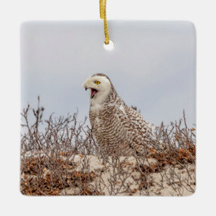 Adorno De Cerámica Nieves en la playa