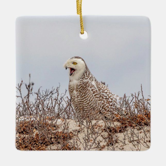 Adorno De Cerámica Nieves en la playa (Anverso)