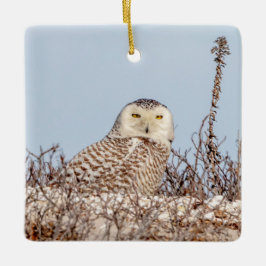 Adorno De Cerámica Nieves en la playa