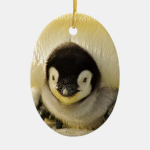 Adorno De Cerámica Niño pingüino