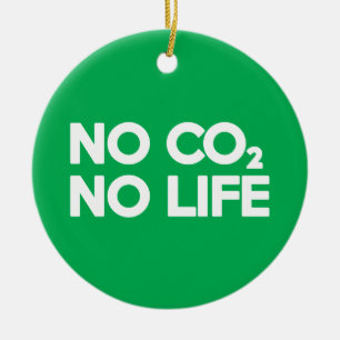 ADORNO DE CERÁMICA NO CO2 NO VIDA