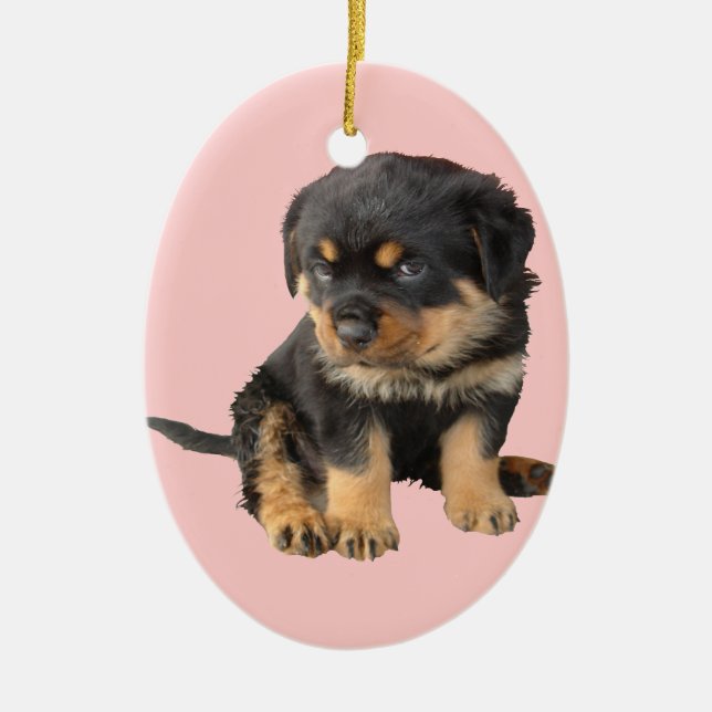 Adorno De Cerámica No necesito que me digan que soy amable (Frente)