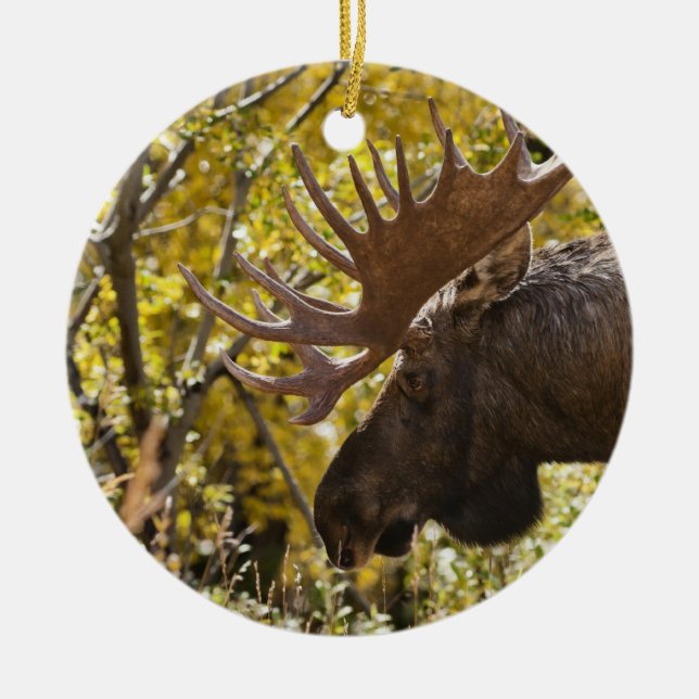 Adorno De Cerámica Noble Bull Moose (Frente)