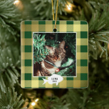 Nombre de gato de cuadros dorados festivos de Navi