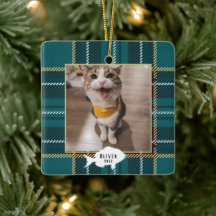 Nombre de gato de Tartán Verde Festivo Navidad