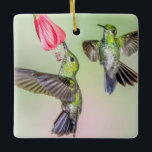 Adorno De Cerámica Nombre de la pareja Hummingbird Flying Together<br><div class="desc">Ornamento con dos colibríes brillantes coronados de verde volando juntos y compartiendo una flor roja en un bosque nuboso de Costa Rica. Este adorno puede ser fácilmente personalizado con nombres y textos, creando un regalo que las parejas románticas, y los amantes del colibrí, la naturaleza y el jardín disfrutarán durante...</div>