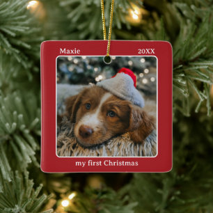 Adorno De Cerámica Nombre de mi primera foto de Navidad de mi mascota