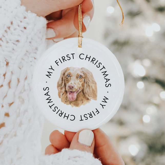 Adorno De Cerámica Nombre de perro personalizado Dachshund Mi primera (Subido por el creador)
