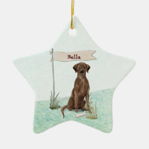 Adorno De Cerámica Nombre personalizado Chocolate Lab Perro Mascota