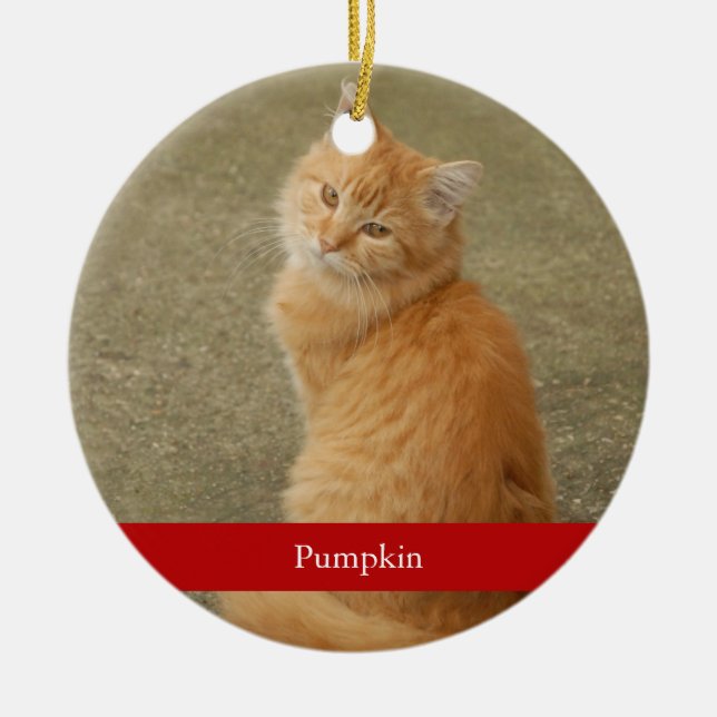 Adorno De Cerámica Nombre rojo de la foto del gato Navidades simples  (Frente)