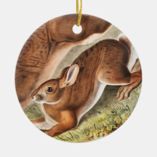 Adorno De Cerámica Northern Hare (Lepus Americanus) Illustration