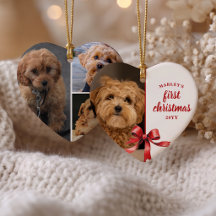 Nuestra Primera Navidad con Nuestro Cachorro 4 Fot