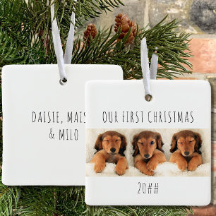 Adorno De Cerámica Nuestros Primeros Perros de Navidad Foto Panorámic