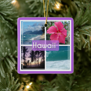 Adorno De Cerámica Oahu, capa marina de Hawaii