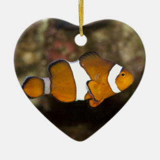 Adorno De Cerámica Ocellaris Clowfish