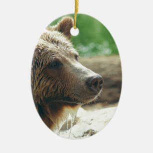 Adorno De Cerámica Ojos animales de la cara del oso adorable lindo de