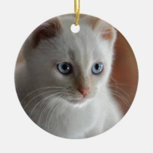 Adorno De Cerámica Ojos azules del punto de la llama