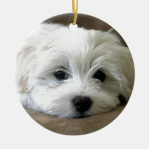 Adorno De Cerámica Ojos de cachorro