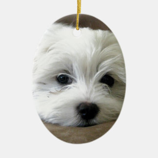 Adorno De Cerámica Ojos del perrito