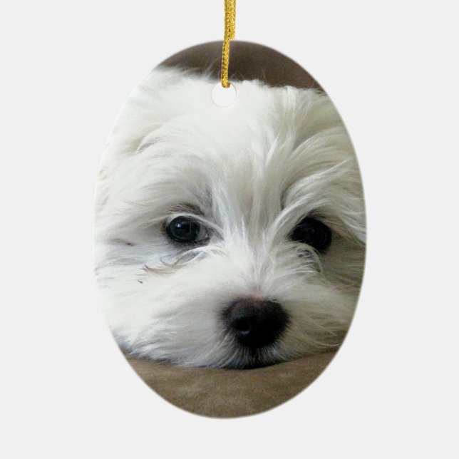 Adorno De Cerámica Ojos del perrito (Frente)