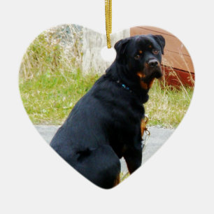 Adorno De Cerámica ojos del Perrito-perro