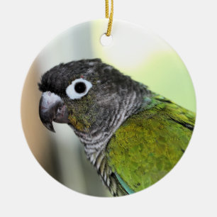 Adorno De Cerámica Ollie wallie