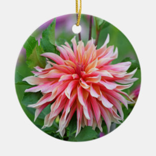 Adorno De Cerámica Orange and Pink Dahlia Flower 1st