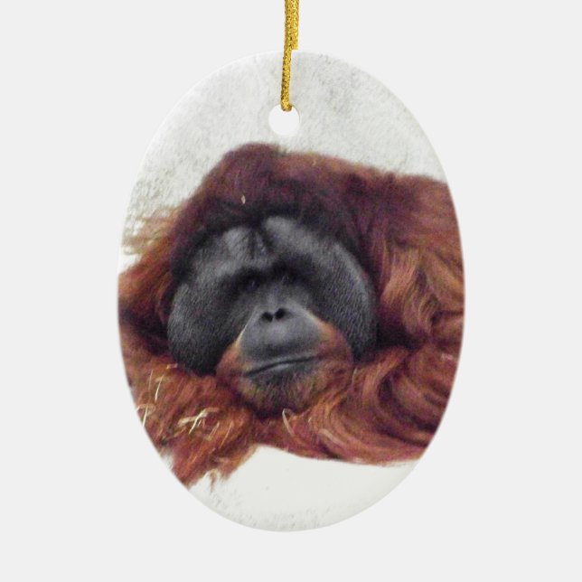 Adorno De Cerámica Orangután (Frente)