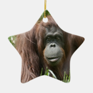 Adorno De Cerámica Orangutan